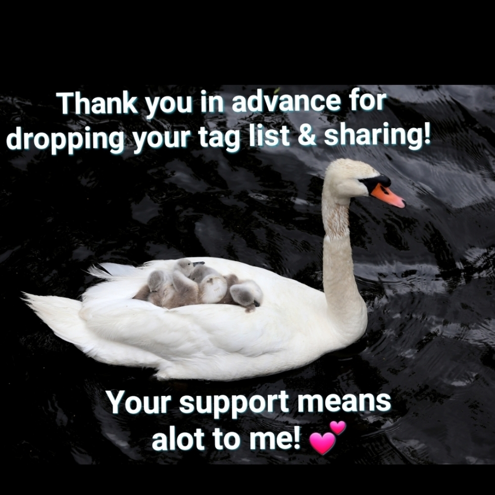 Follow Me to 250k! Thank You for Your Support! - Picture 3 of 12